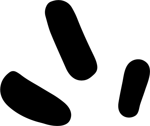 Database Icon