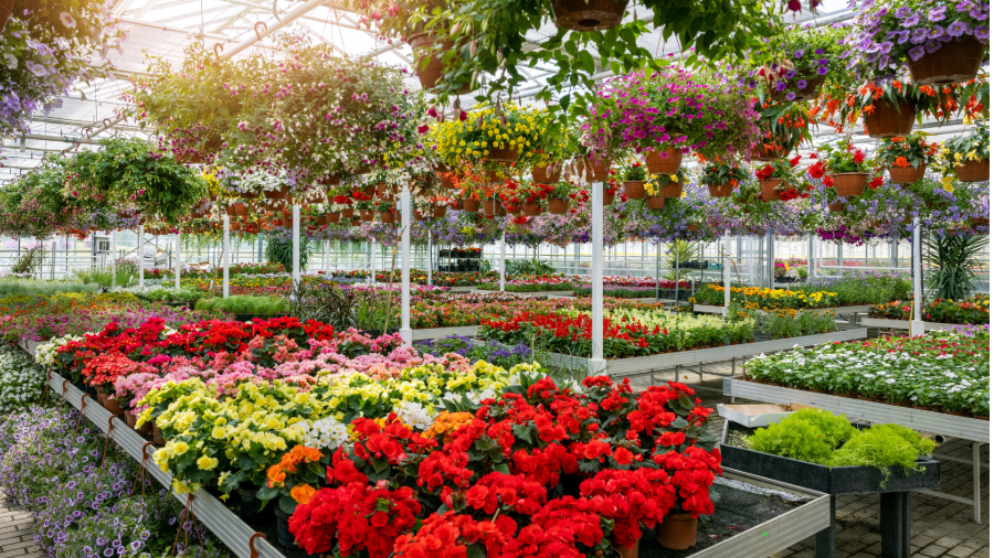 Interflora accélère sa stratégie d’expansion data en Europe grâce à Fivetran